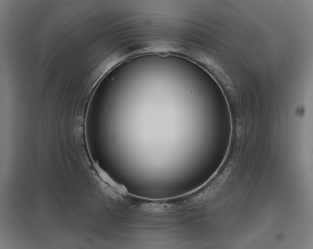 X0000098051185200803281447