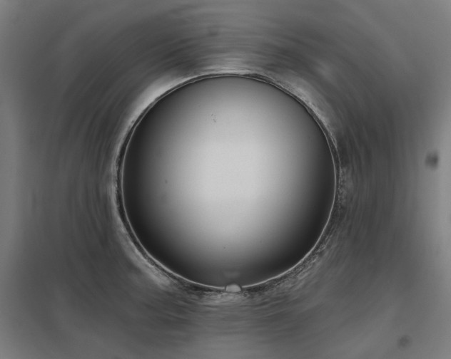X0000098051187200803281447