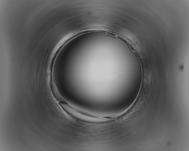 X0000098051188200803281447