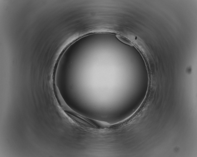 X0000098051189200803281447