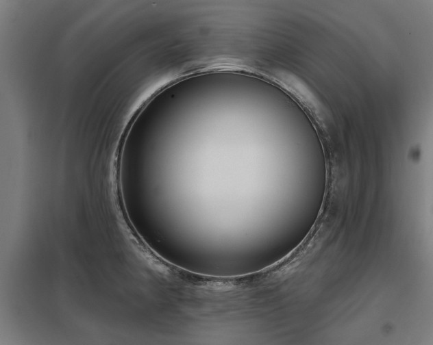 X0000098051190200803281447