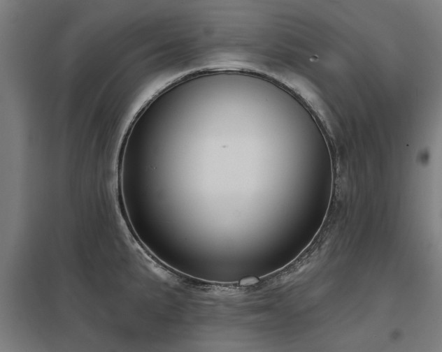 X0000098051191200803281447