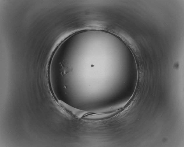 X0000098051192200803281447