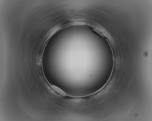 X0000098051193200803281447