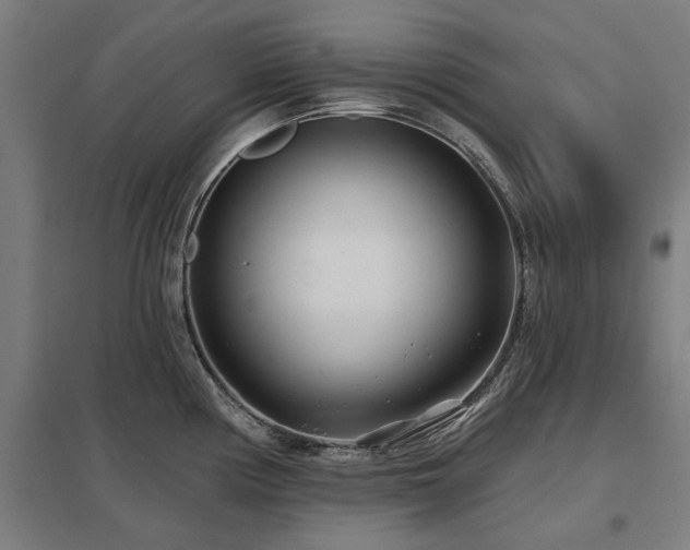 X0000098051194200803281447