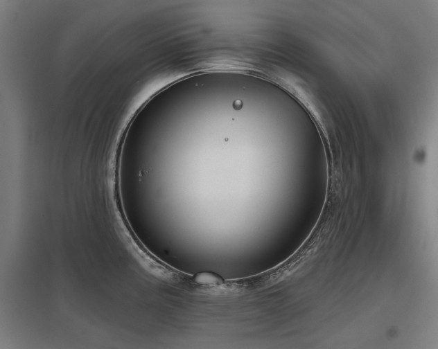 X0000098051195200803281447