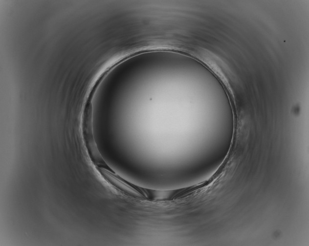 X0000098051197200803281447