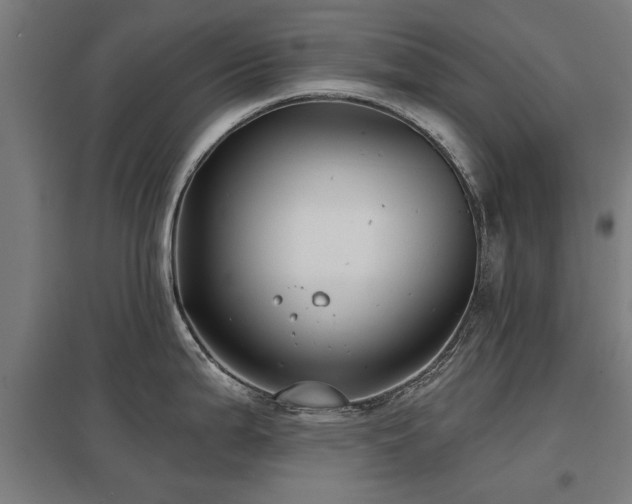 X0000098051199200803281447