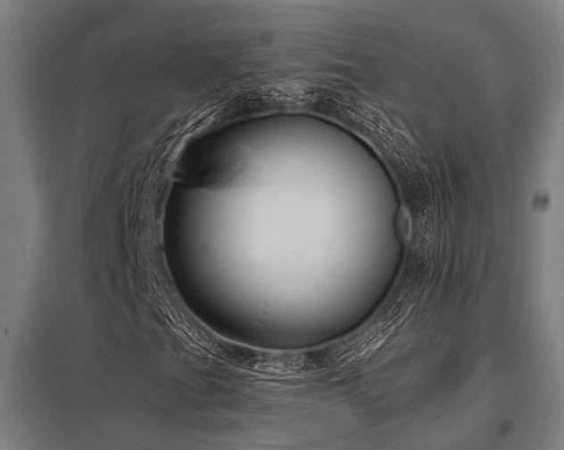 X0000098051201200803281446