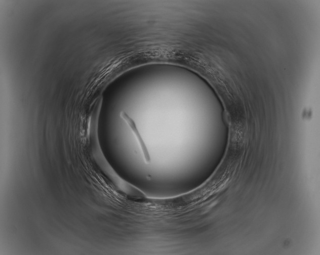 X0000098051202200803281446