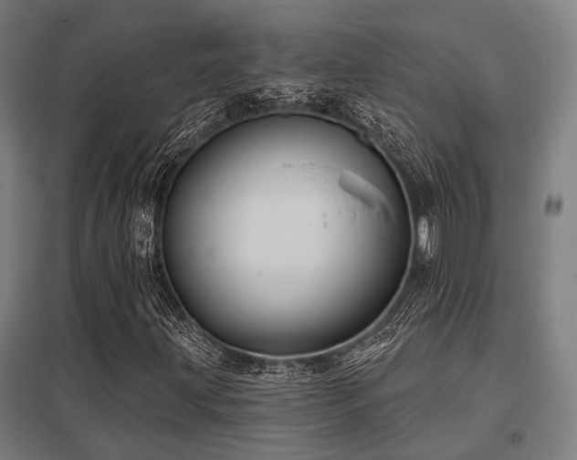 X0000098051203200803281446