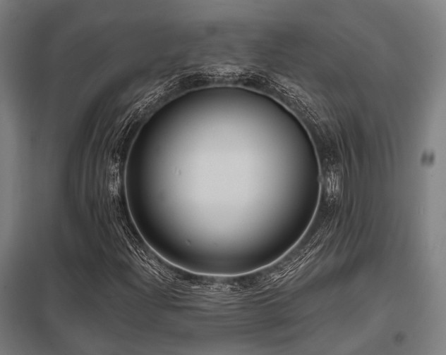 X0000098051204200803281446