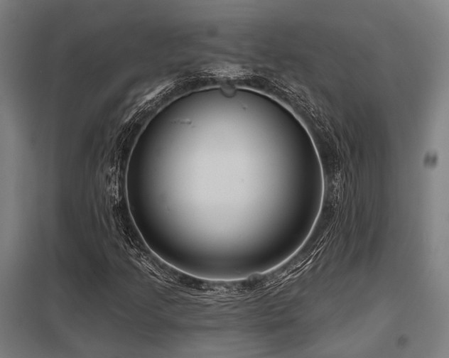 X0000098051205200803281446