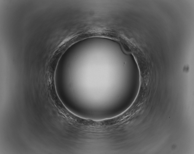 X0000098051206200803281446