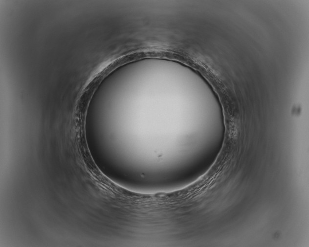 X0000098051208200803281446