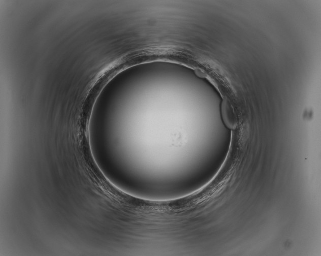 X0000098051210200803281446