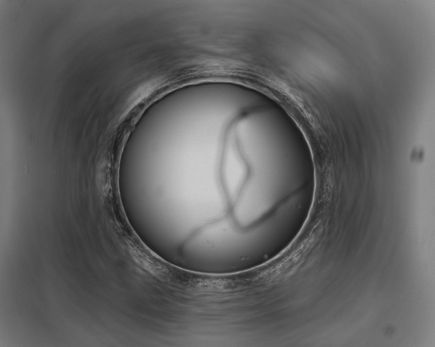 X0000098051211200803281446