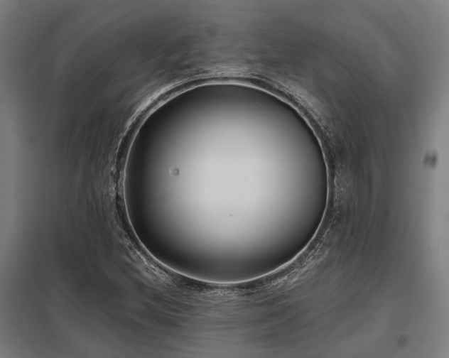 X0000098051212200803281446