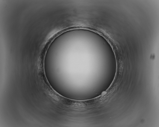 X0000098051215200803281447