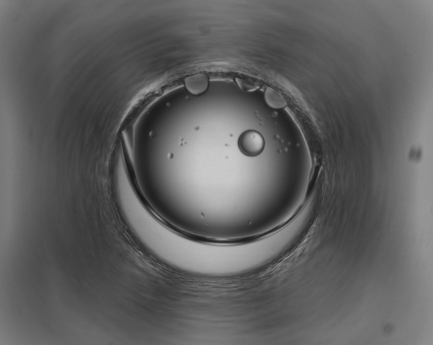 X0000098051218200803281447