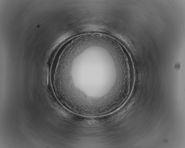 X0000098051219200803281447