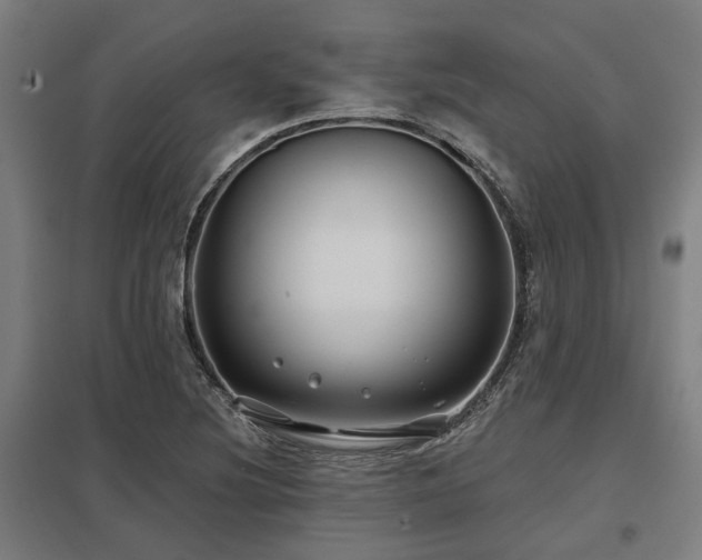 X0000098051220200803281447