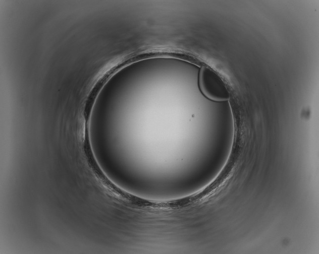 X0000098051221200803281447