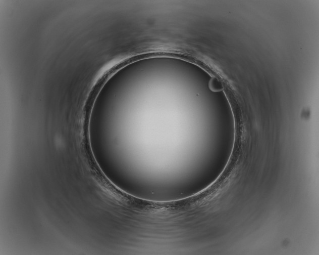 X0000098051222200803281447