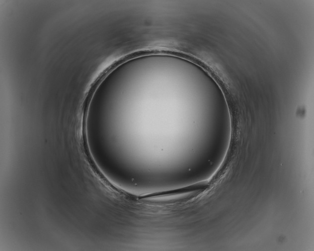 X0000098051224200803281447