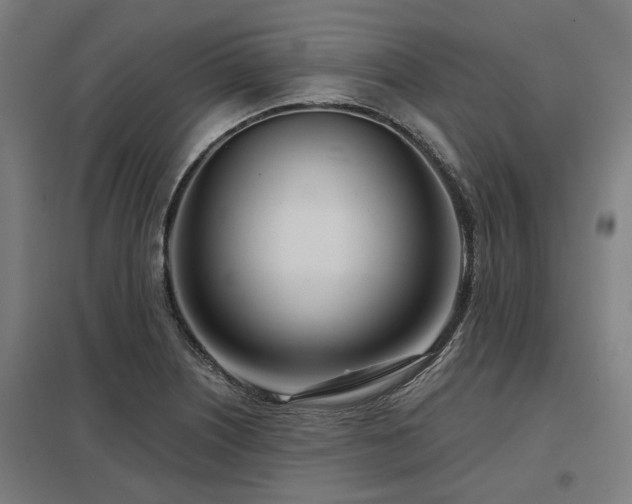X0000098051226200803281447
