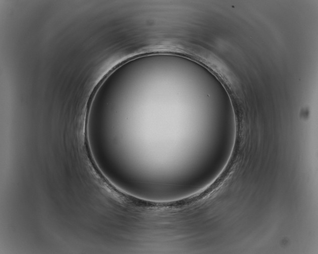 X0000098051228200803281447