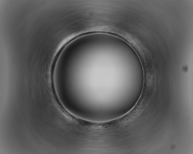 X0000098051230200803281447