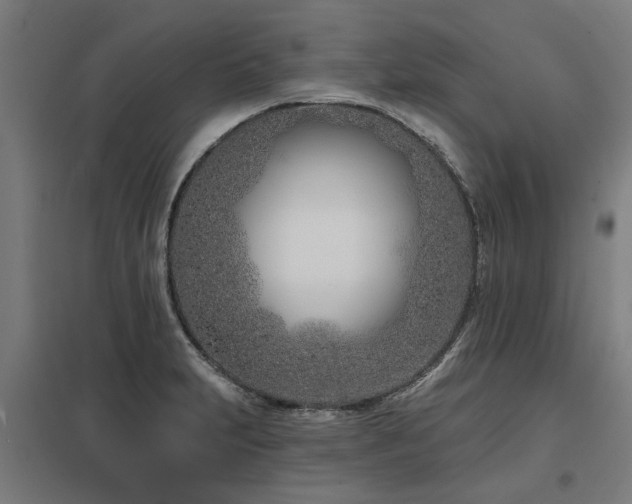 X0000098051231200803281447