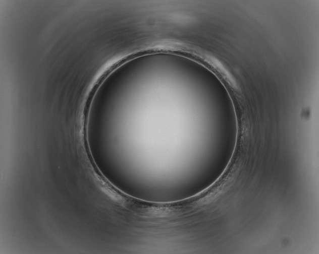 X0000098051232200803281447