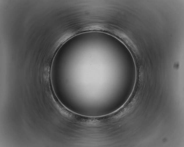 X0000098051233200803281447