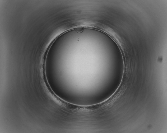 X0000098051235200803281447