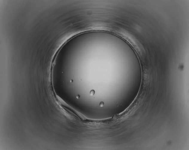 X0000098051236200803281447
