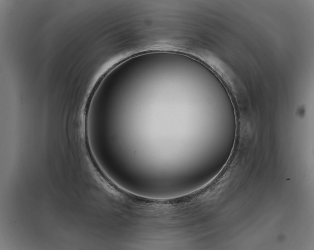 X0000098051238200803281447