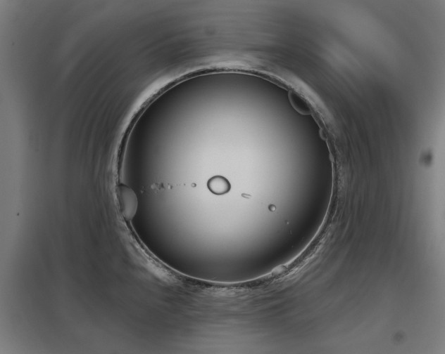 X0000098051240200803281447