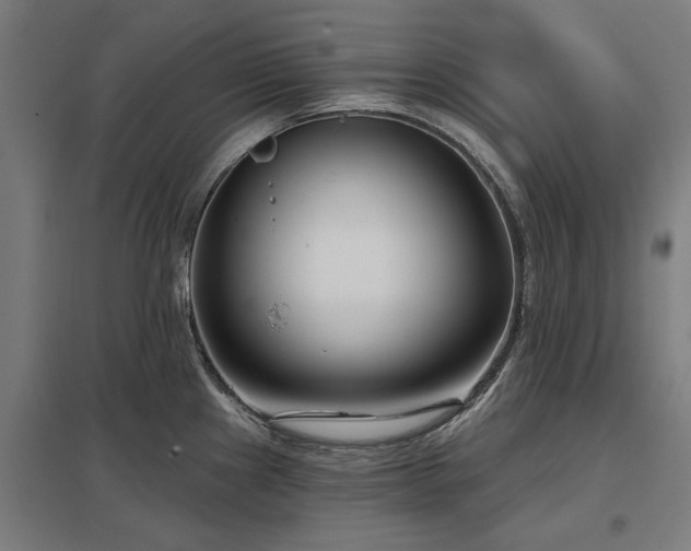 X0000098051241200803281447