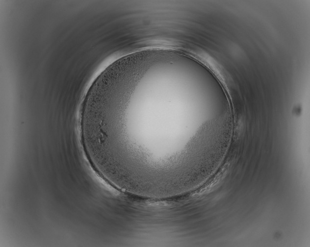 X0000098051243200803281447