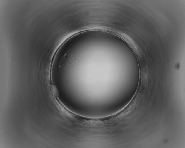 X0000098051244200803281447
