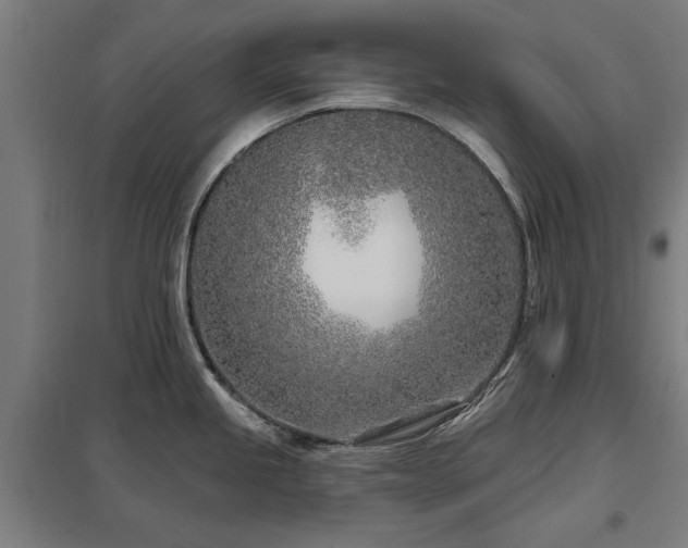 X0000098051245200803281447