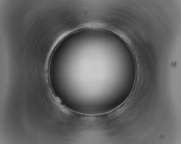 X0000098051248200803281447