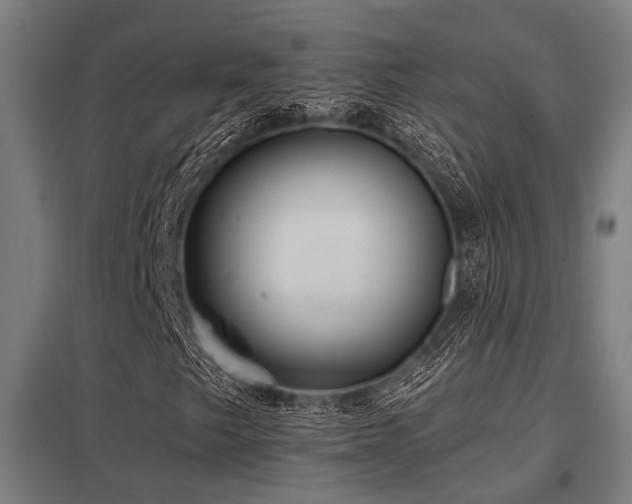 X0000098051249200803281446