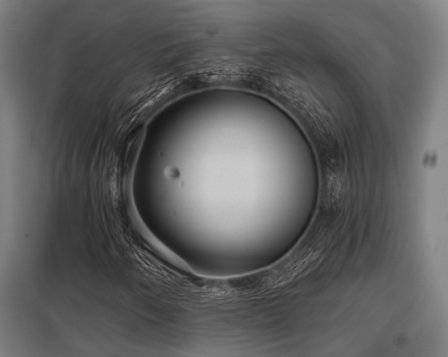 X0000098051250200803281446