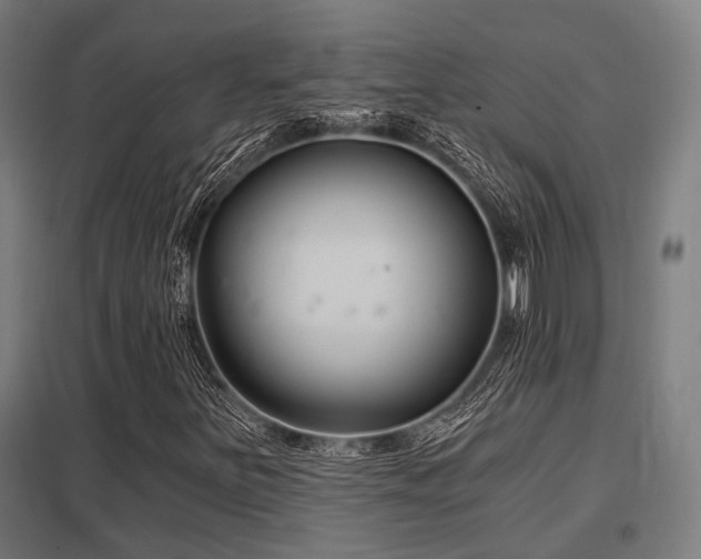 X0000098051251200803281446