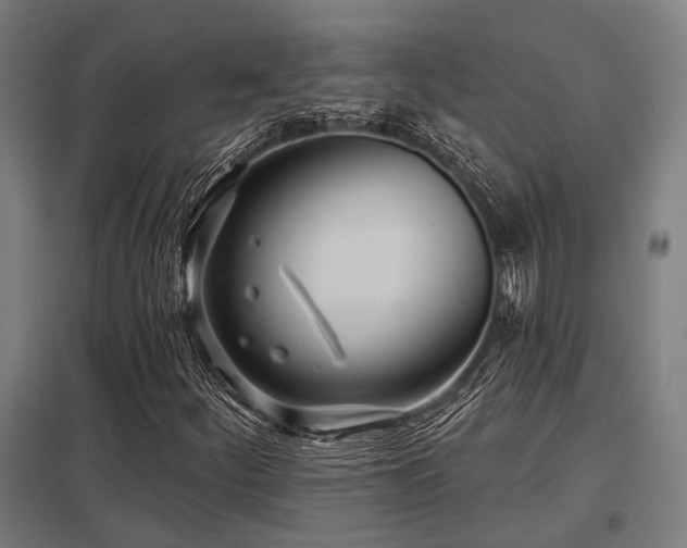 X0000098051252200803281446