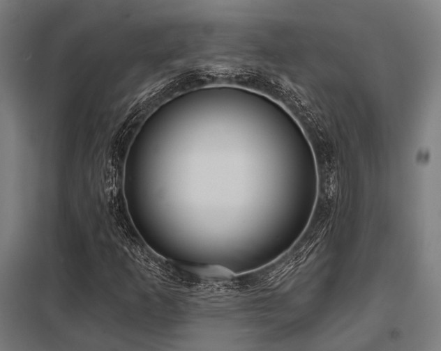 X0000098051253200803281446