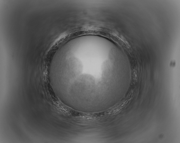 X0000098051254200803281446